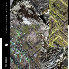 [NooLtd49] Orion Moustache – Suiicho (Full Track)