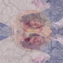 Marikh (feat. Aqil MH)