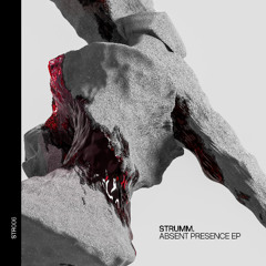 PREMIERE: Strumm. – Error Culture [STR006]