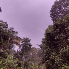 Calalco. Finales del Verano de 2024 (A Kristina Adukaite)