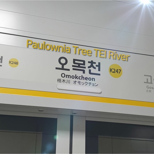 Paulownia Tree TEI River