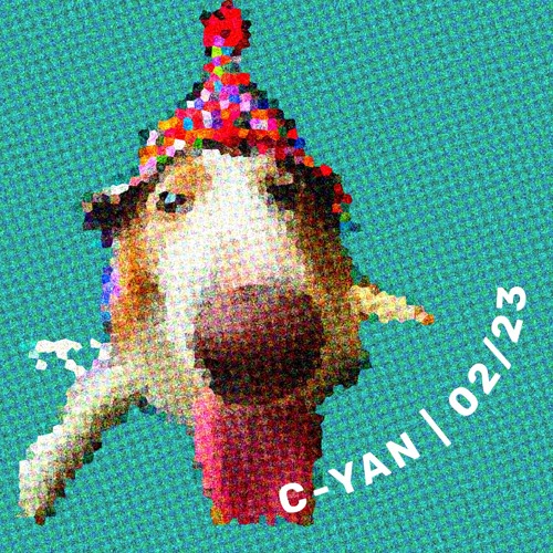 C-YAN | 02/23