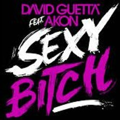 David Guetta Feat. Akon - Sexy Bitch (Subwaves X Andrew Dexx Bootleg)
