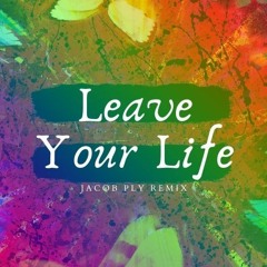 Leave Your Life - Ed Sheeran (Jacob Ply Remix)