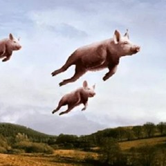 Great Pig in the Sky