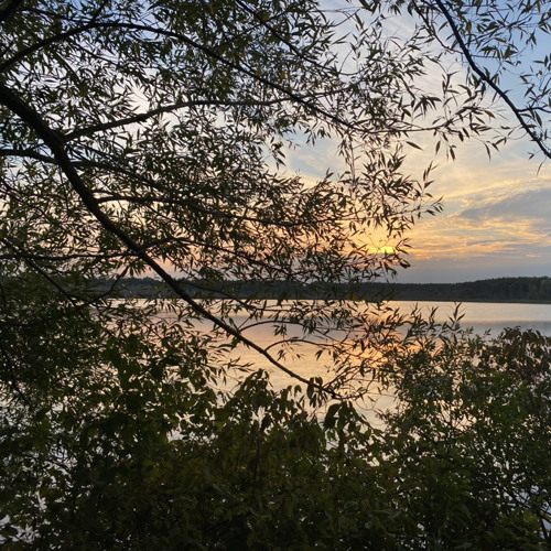 Returning to Somewhere You’ve Never Been