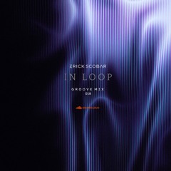 IN LOOP - Groove Mix 018