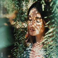 i will follow you into the dark