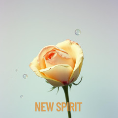 new spirit