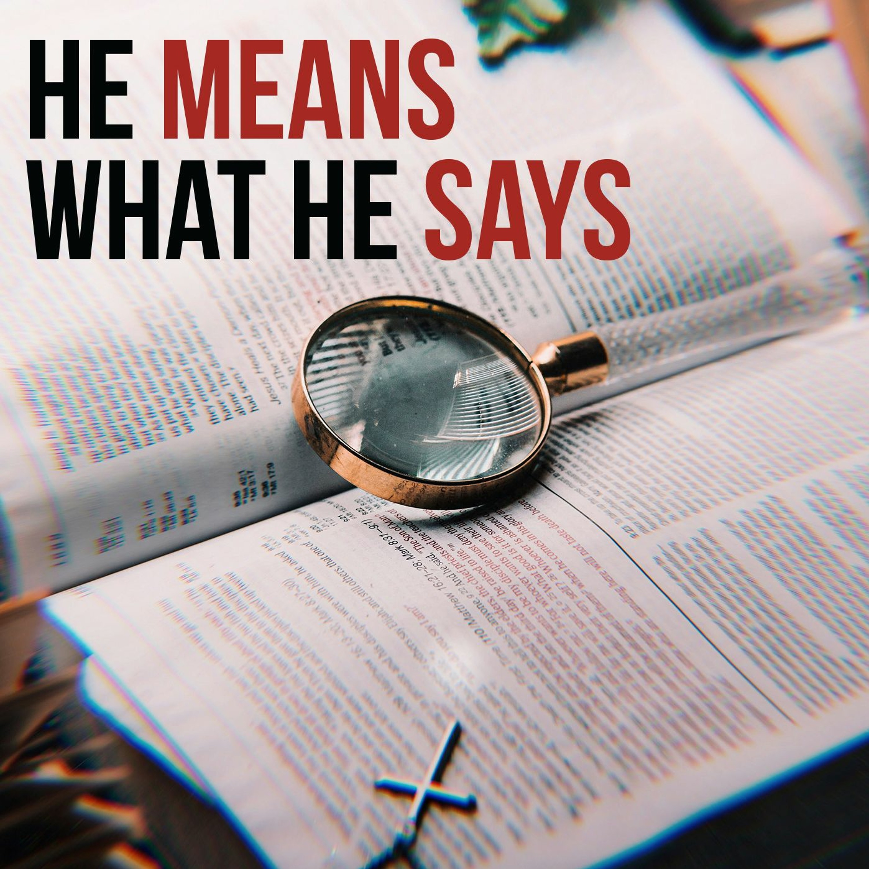 He Means What He Says episode artwork