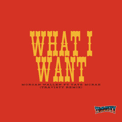 Morgan Wallen ft. Tate McRae - What I Want (TRAVISTY Remix)