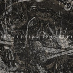 Industrial Insanity (FREE DL)