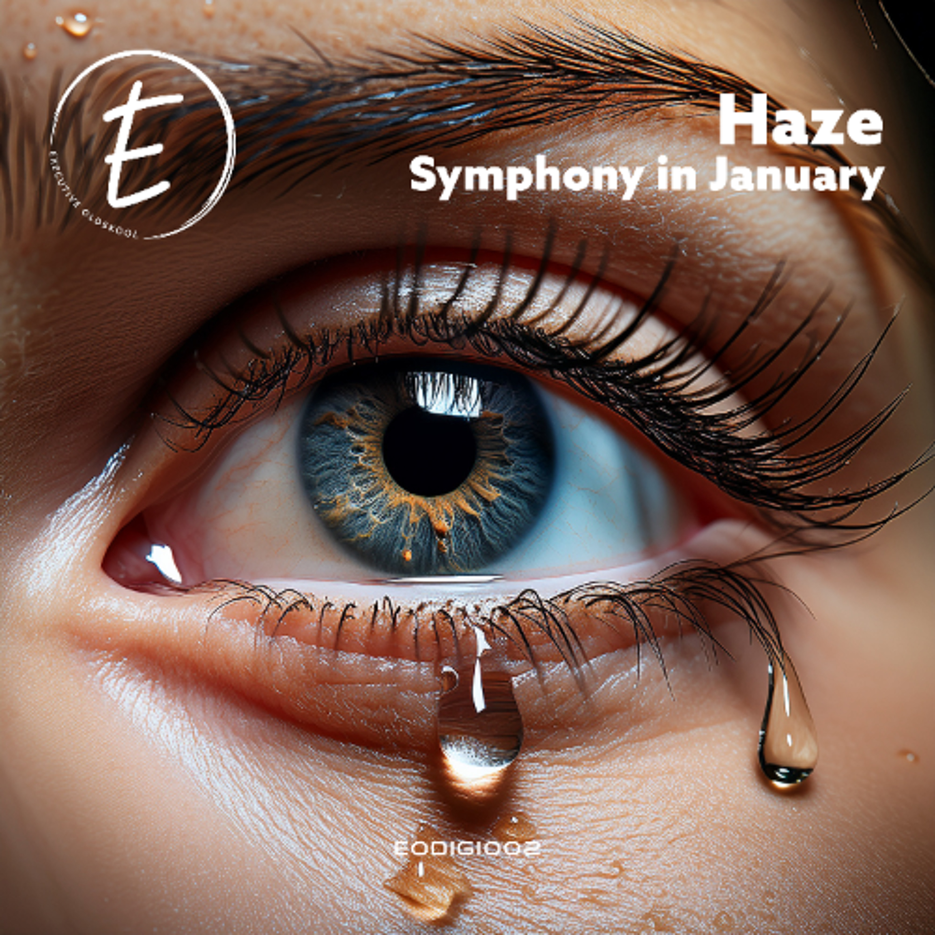 Haze - Symphony In January - Out Now! episode artwork