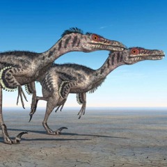 Le Vélociraptor