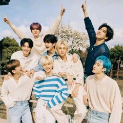 Skz covers