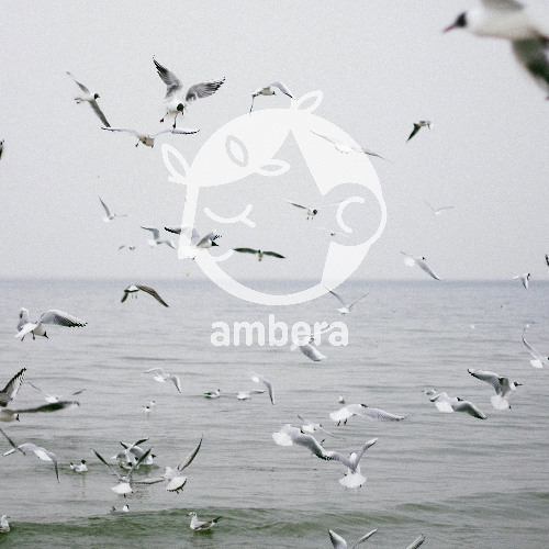 silver tides