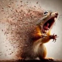 youngest person ever