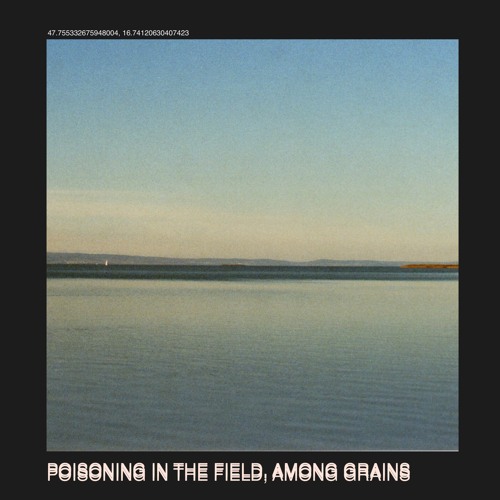 Poisoning in the field, among the grains (2025) for amplified Ensemble