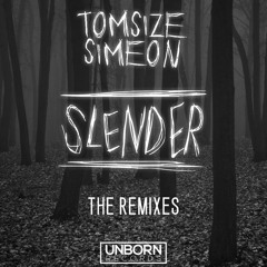 Slender (Rave Temple Remix)