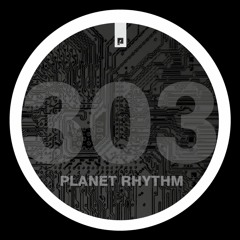 Enter The Void - 90's Acidcore (PR303.101)