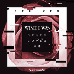 Never Loved Me (Alexander Popov Remix)