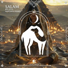 REX STAX, Cafe De Anatolia - Salam (Martin501 Remix)
