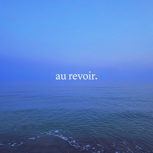 Au Revoir (Adios) Cover - The Front Bottoms