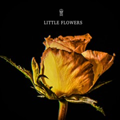 Rekkid - Little Flowers (Mat Trouble Remix)
