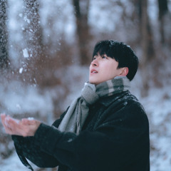 겨울벚꽃