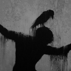 two birds on a wire