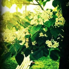 Travis Scott Gunna Hip-Hop/Trap Type Beat