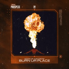 Noize Of The Crow - Burn Ur Place