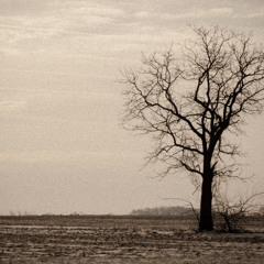 It Was All Just An Old Dream.