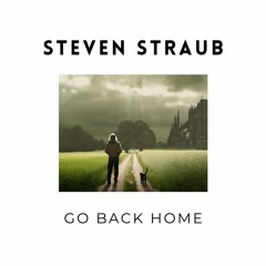 Steven Straub - Go Back Home (original mix) sample