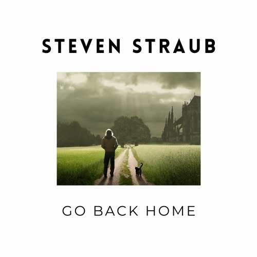 Steven Straub - Go Back Home (original mix) sample