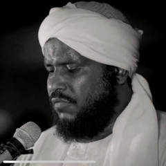 Surah An-Naml / 15 - 31  Mohammed Othman Haj Ali       سورة   النمل  || محمد عثمان حاج علي ||.m4a