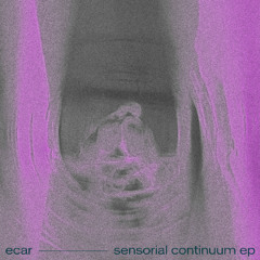Sensorial Continuum EP