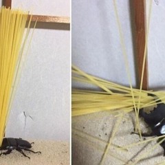 Souljaboy Tell Em Move from Left To Right