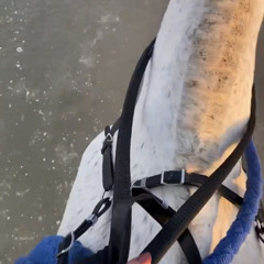 ‎⁨رويشد٠هجرتك غصب مو مني عود⁩.m4a