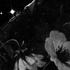 Love Me Like I Love You