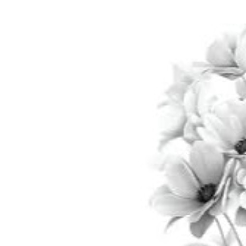 Chase the echoes of your heart’s longing