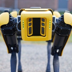 We Are The Robots (I Am Your Servant, I Am Your Worker Remix/Я твой слуга, Ya tvoy rabótnik Pемикс)