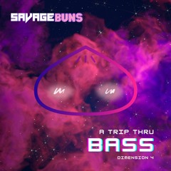 A Trip Thru Bass: DimensiØn 4