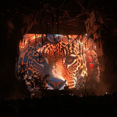 CamelPhat, Artbat ft Rhodes - For a Feeling (Adam Sellouk & Y do I Remix).mp3