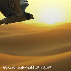 ‎⁨الصقر-والملك-(al-ṣaqr-wal-malik)⁩.