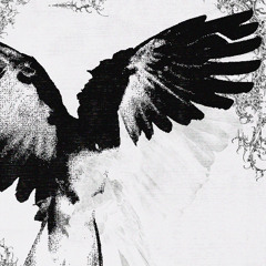 cockatoo (prod. egoblade)
