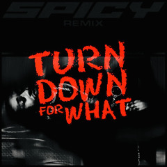 Spicy [Remix] x Turn Down For What (Ty Dolla $ign x J Balvin x YG x Tyga x Post Malone)