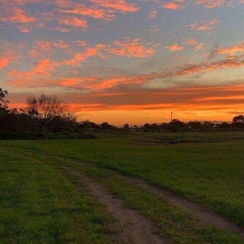 MiSide OST - Cappie Room