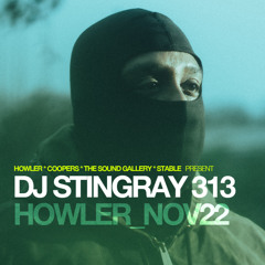 Matt Radovich DJing before DJ Stingray 313 at Howler Melbourne for Stable Music Nov 2025