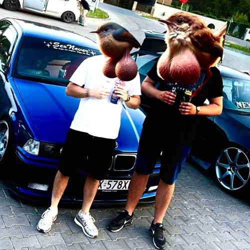 MAXEL - TAŃCZMY Z CYGANAMI (DJ t0Y0t44 BASS TŁUCZNIA)